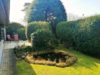 kleiner Gartenteich